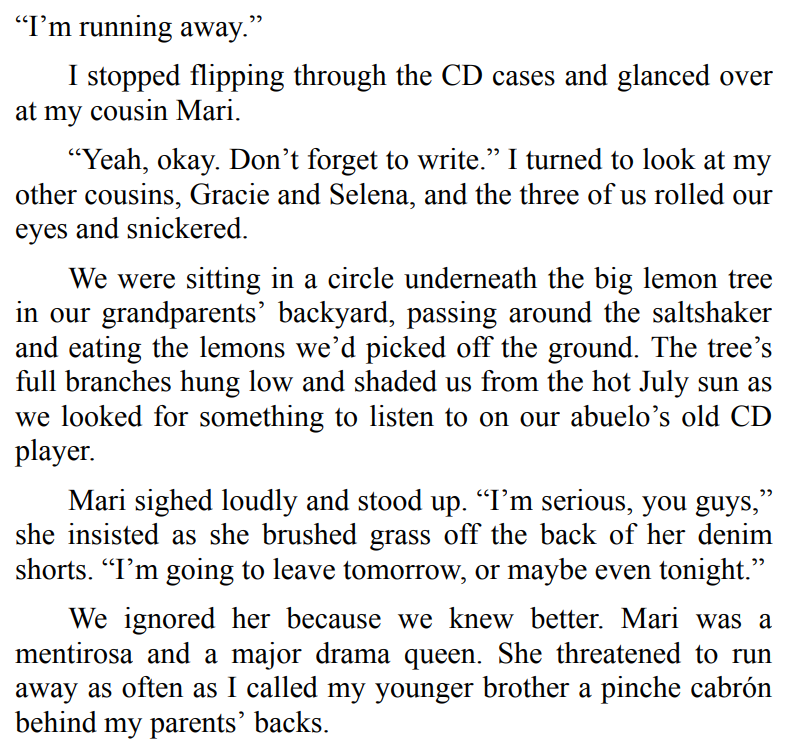 Big Chicas Don't Cry by Annette Chavez Macias