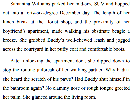 CHRISTMAS AT WHISPERING CREEK BY BARBARA M. BRITTON PDF