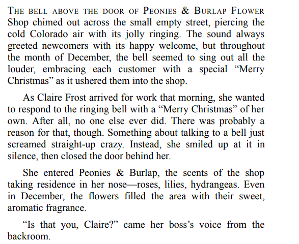 CHRISTMAS BAGGAGE BY PDF