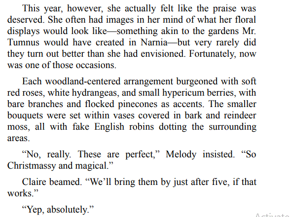 CHRISTMAS BAGGAGE BY ePub