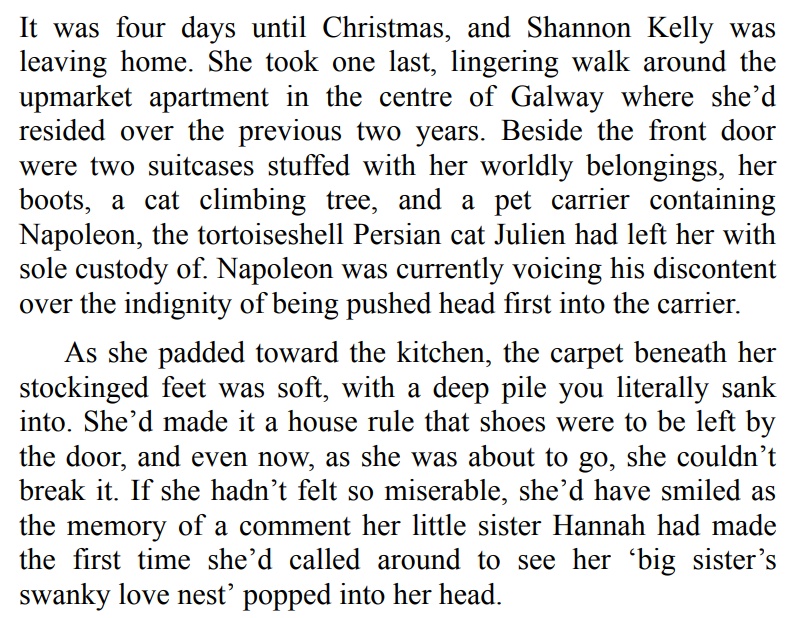 CHRISTMAS IN THE LITTLE IRISH VILLAGE BY MICHELLE VERNAL