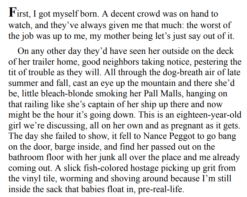 Demon Copperhead by Barbara Kingsolver 