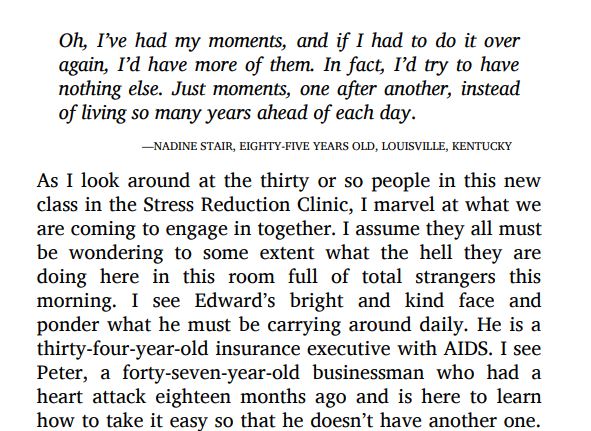 Full Catastrophe Living by Jon Kabat Zinn and Thich Nhat Hanh PDF