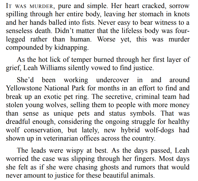 GUARDING LEAH BY REGAN BLACK