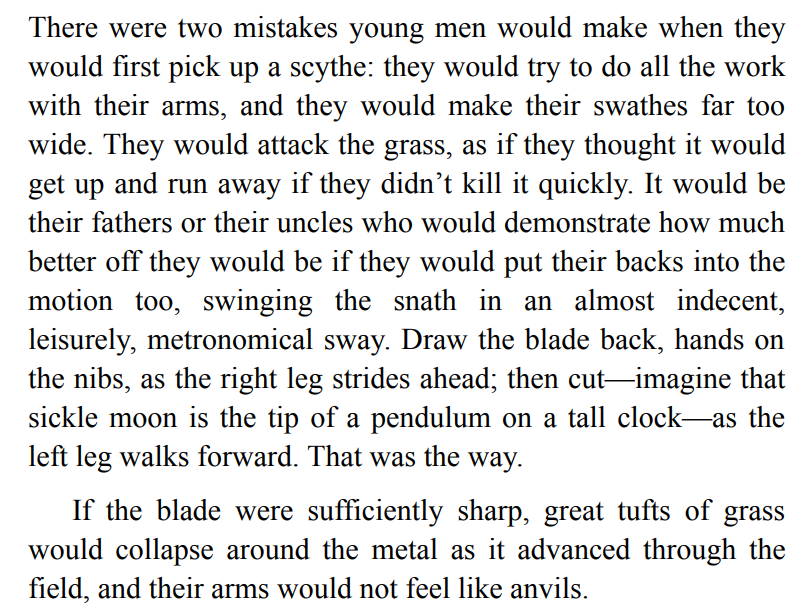 Hour of the Witch by Chris Bohjalian 