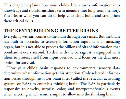 How Your Child Learns Best by Judy Willis PDF
