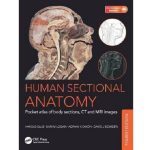 Human Sectional Anatomy by Harold Ellis Adrian Kendal Dixon Bari M. Logan David J. Bowden