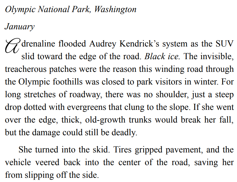 INTO THE STORM BY RACHEL GRANT 