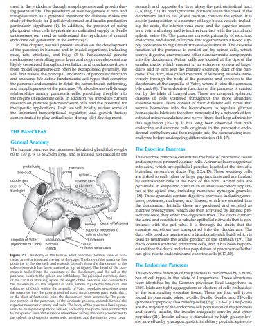 Joslin's Diabetes Mellitus by C Ronald Kahn Gordon C Weir & more PDF