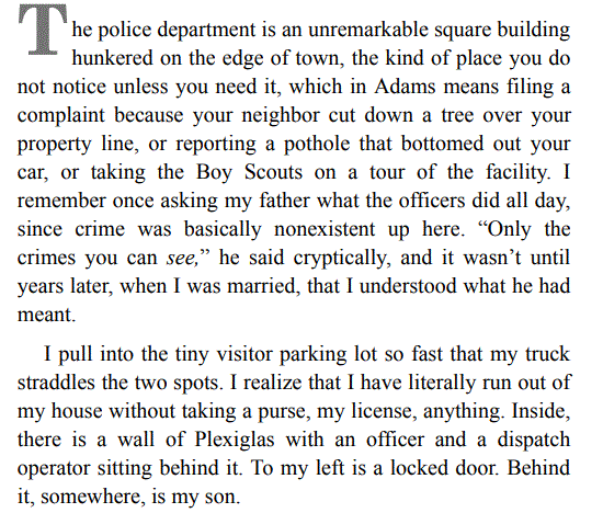 Mad Honey by Jodi Picoult PDF