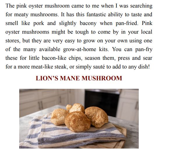 Making Vegan Meat by Mark Thompson PDF