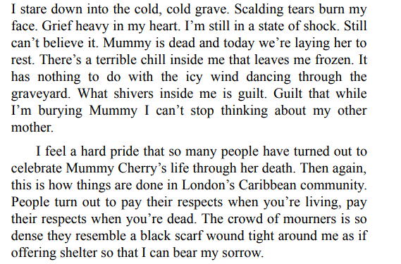 Say Her Name BY Dreda Say Mitchell PDF