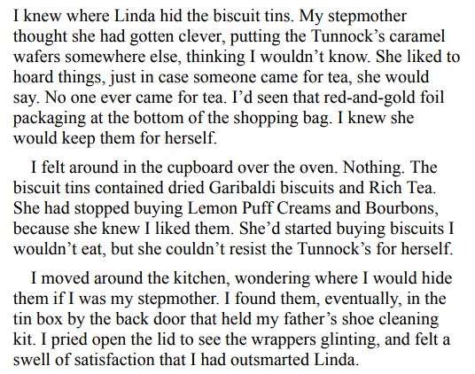 Sister Stardust by Jane Green 