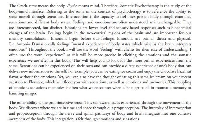 Somatic Psychotherapy Toolbox by Manuela Mischke Reeds PDF