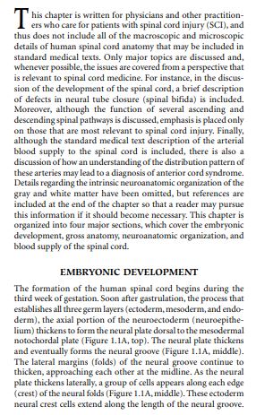 Spinal Cord Medicine Second Edition by Vernon Lin Christopher &more PDF