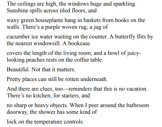 Stolen Summer by Cassie Mint PDF