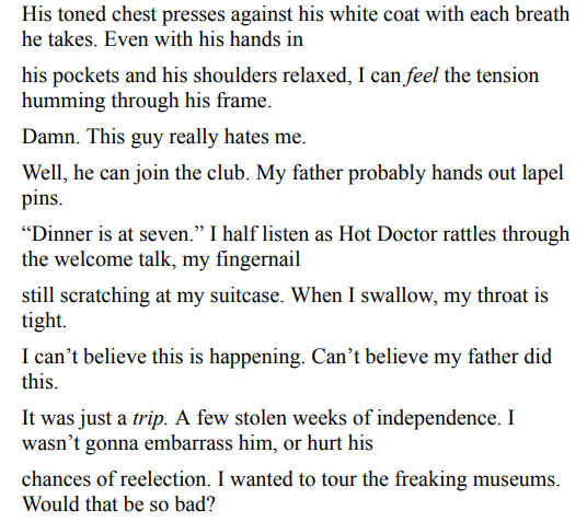 Stolen Summer by Cassie Mint ePub