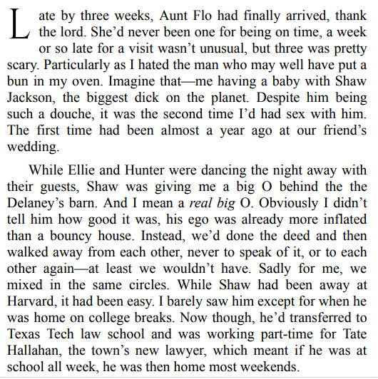 THE B!TCH LIST BY NIKKI ASHTON 