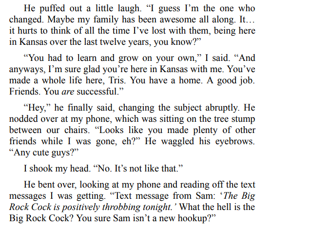 THE CONTRACTOR BY RALEIGH RUEBINS ePub