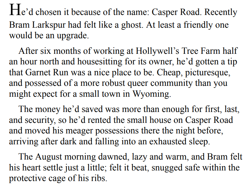 THE RIVALS OF CASPER ROAD BY ROAN PARRISH 