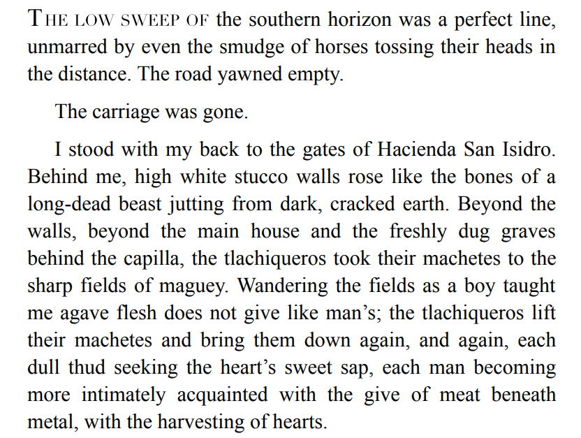 The Hacienda BY Isabel Cañas 