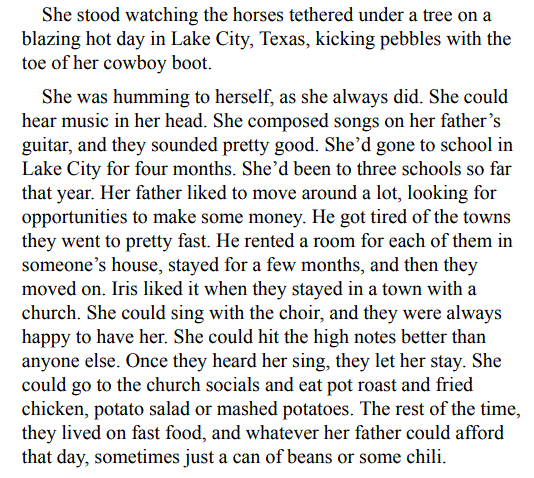 The High Notes by Danielle Steel 