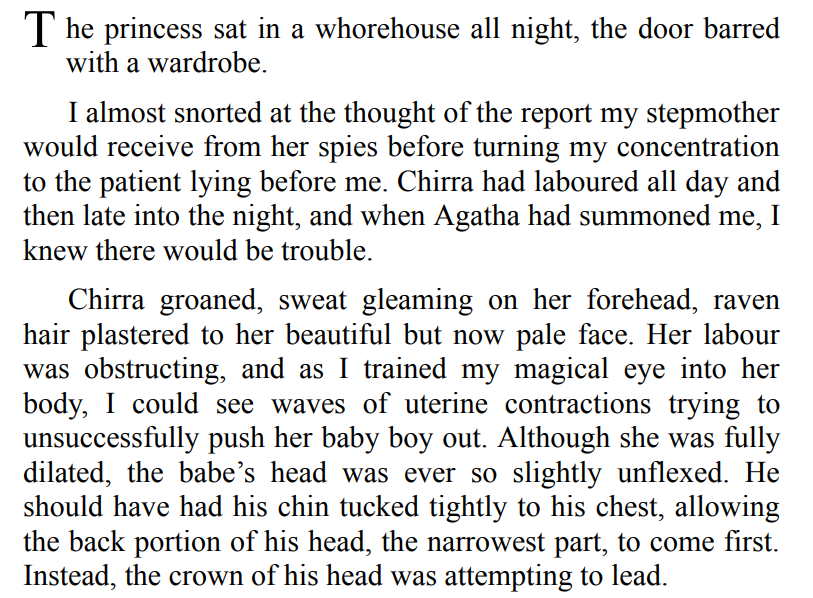 The Warrior Midwife by E.P. Bali