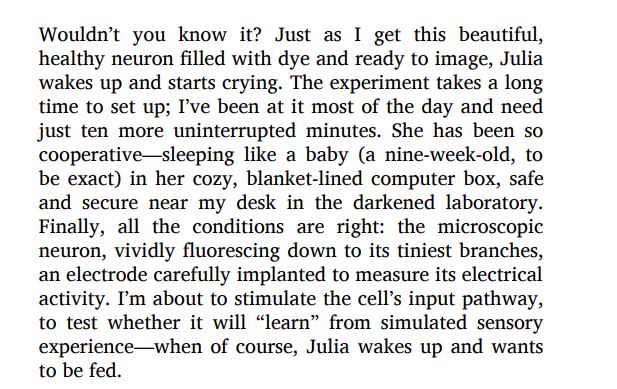 What s Going on in There by Lise Eliot PDF