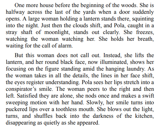 A Woman of Endurance by Dahlma Llanos-Figueroa