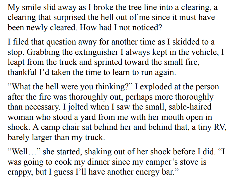 BROKEN PERFECTION BY BRYNN PAULIN