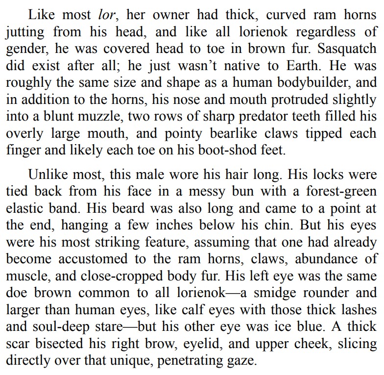 Beyond the Next Star BY Melody Johnson 