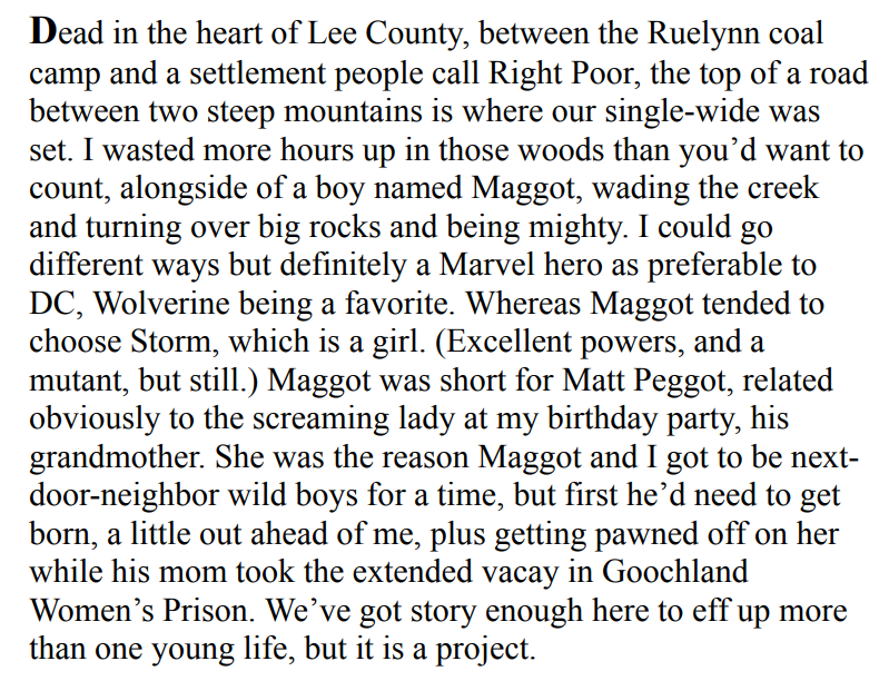 Demon Copperhead by Barbara Kingsolver 