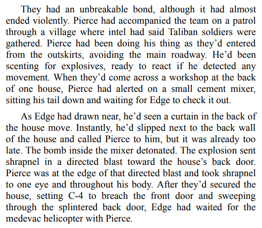 GUARDING HANNAH BY DELILAH DEVLIN 