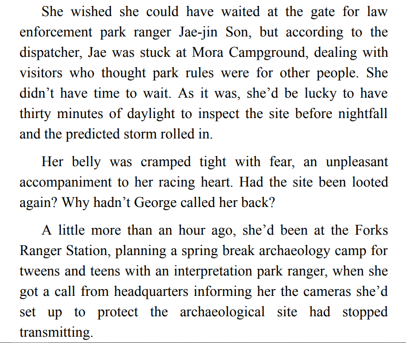 INTO THE STORM BY RACHEL GRANT 