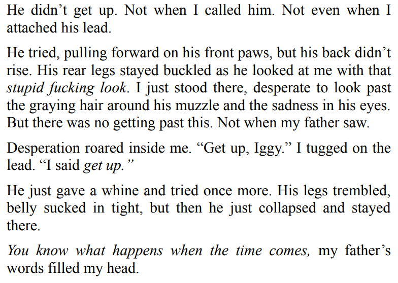 RUTHLESS PROTECTOR BY A.K. ROSE 