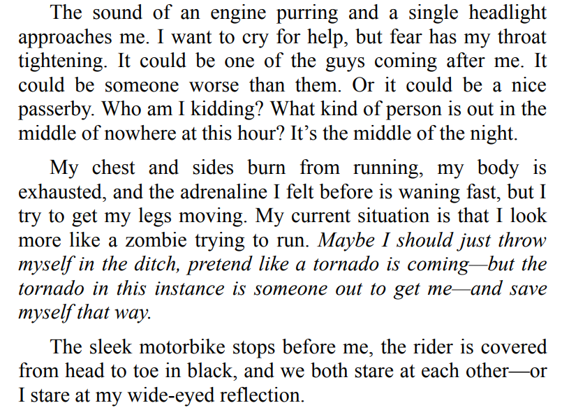 SMOKE THE ENEMY BY ASHTON BROOKS 