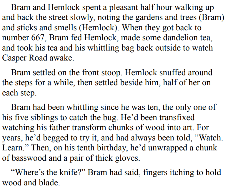 THE RIVALS OF CASPER ROAD BY ROAN PARRISH