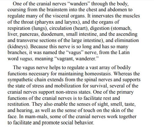 Accessing the Healing Power of the Vagus Nerve by Stanley Rosenberg PDF