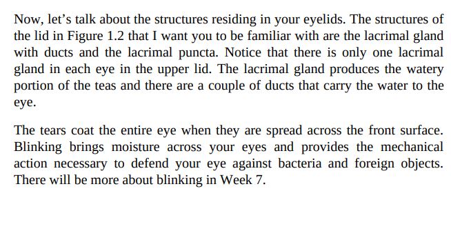 Alleviate Dry Eye by Pamela Theriot PDF