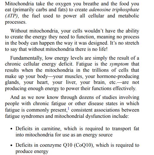 Eat for Energy by Ari Whitten and Alex Leaf M S PDF