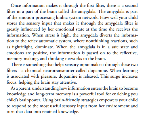 How Your Child Learns Best by Judy Willis PDF