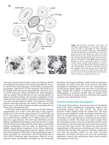 Joslin's Diabetes Mellitus by C Ronald Kahn Gordon C Weir & more PDF