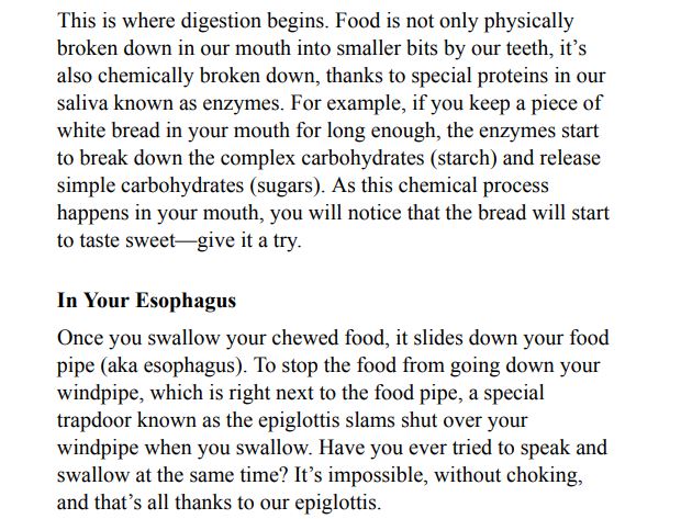 Love Your Gut by Megan Rossi PDF