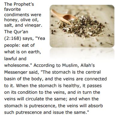 Phrophetic Medicine & Herbalism by M Iqtedar husain Farooqi PDF