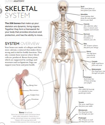 Science of Yoga by Ann Swanson PDF