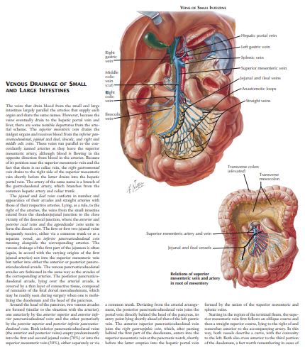 The Netter Collection of Digestive System Part II by James C Reynolds PDF