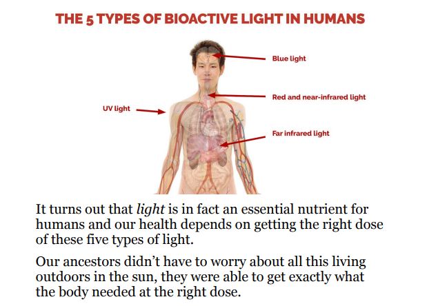 The Ultimate Guide To Red Light Therapy by Ari WhittenPDF