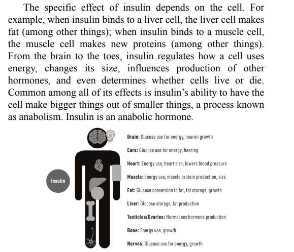 Why We Get Sick by Benjamin Bikman PDF
