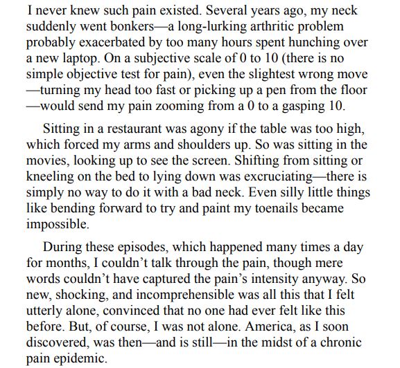 A Nation in Pain by Judy Foreman PDF