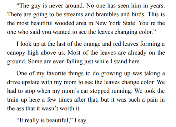 BONFIRE BY LAUREN MILSON ePub